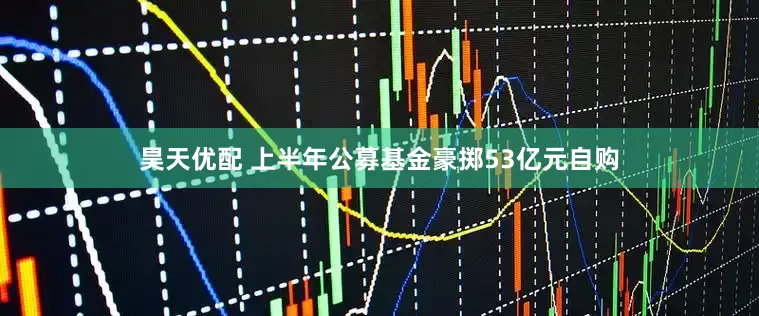 昊天优配 上半年公募基金豪掷53亿元自购