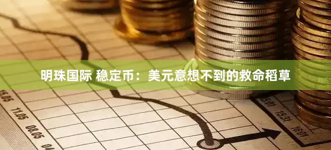 明珠国际 稳定币：美元意想不到的救命稻草